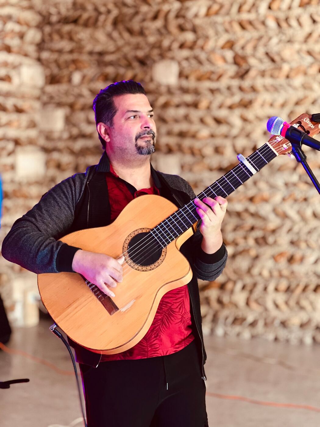 Guitariste de Camino sur scène