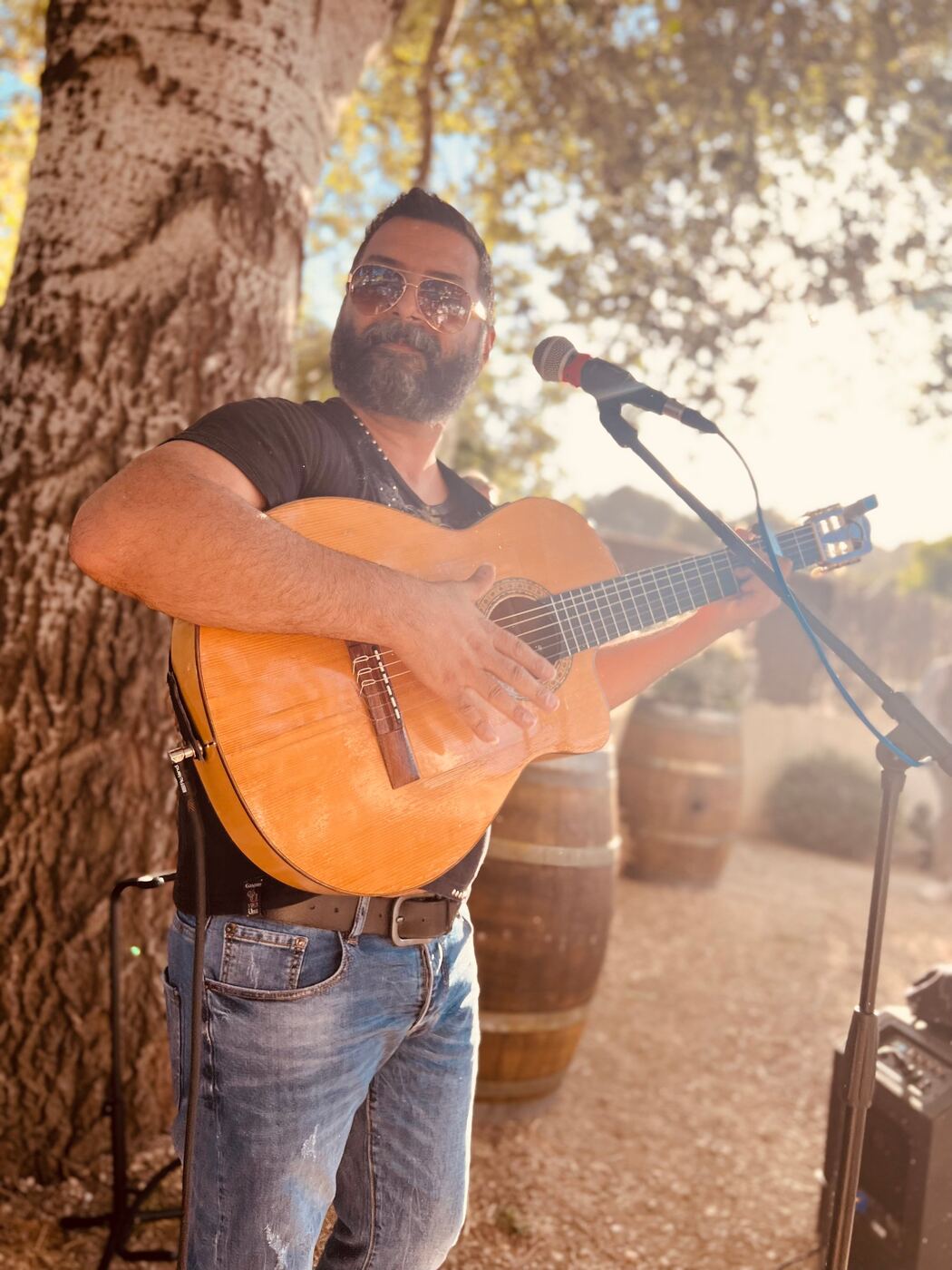 Guitariste sous un arbre, lunettes de soleil